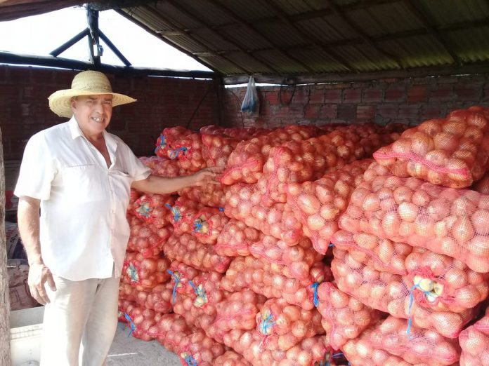 Préstamos, Producción, Cebollas, Papa, Tomate,