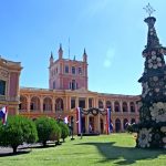 arbol palacio