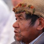 indigena