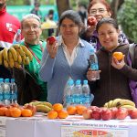 Alimentos saludables (12)
