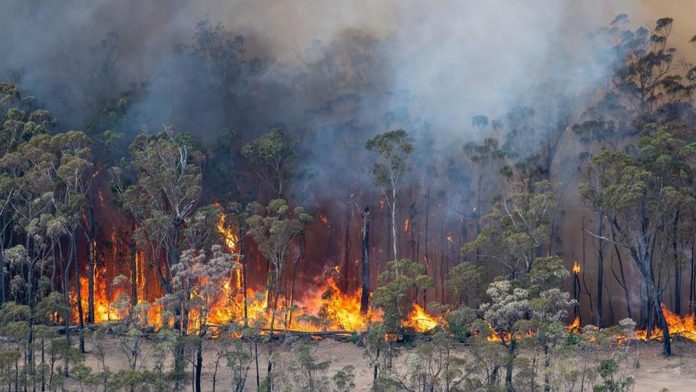 Incendios - Australia