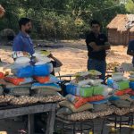 Alimentos Indi 1.2