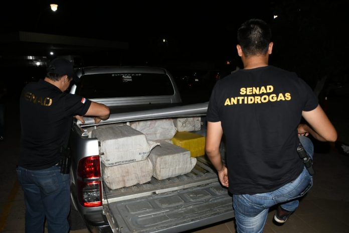 Drogas - cocaína - Senad