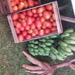 Verduras