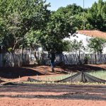 agricultura huerta hortaliza familiar cultivo (10)