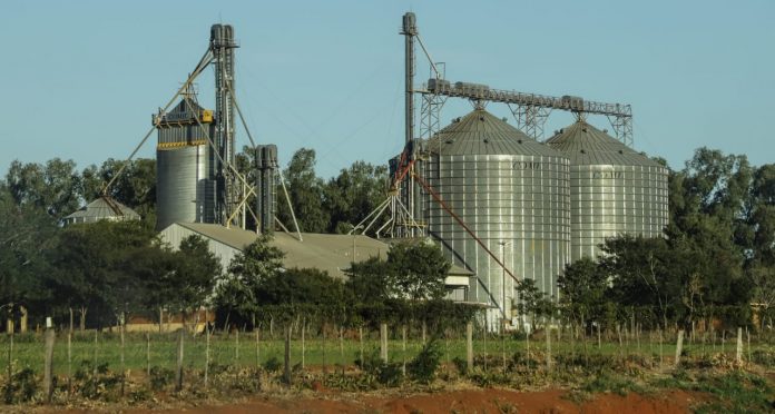 industria- trabajo- soja- silo 1