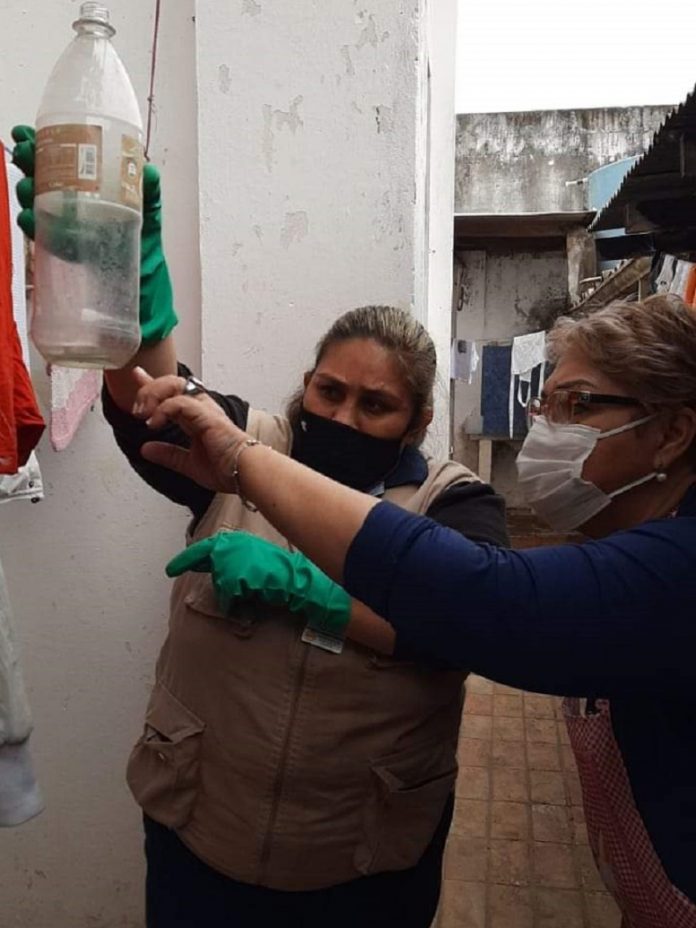 eliminación criaderos - dengue