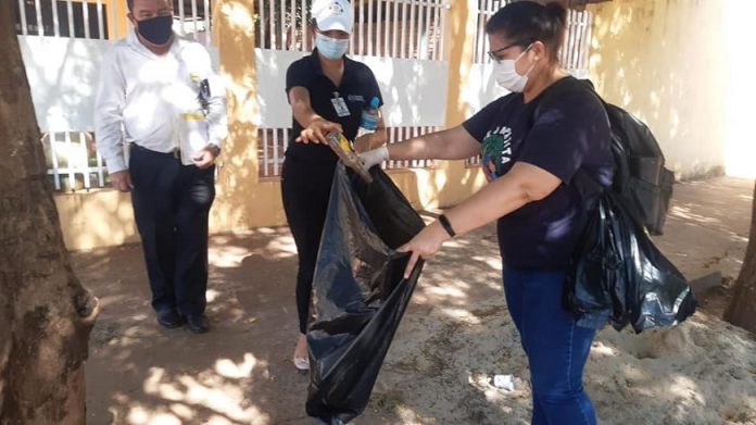 dengue en Alto Parana