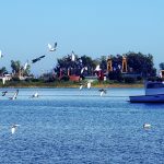 clima bahia Asunción