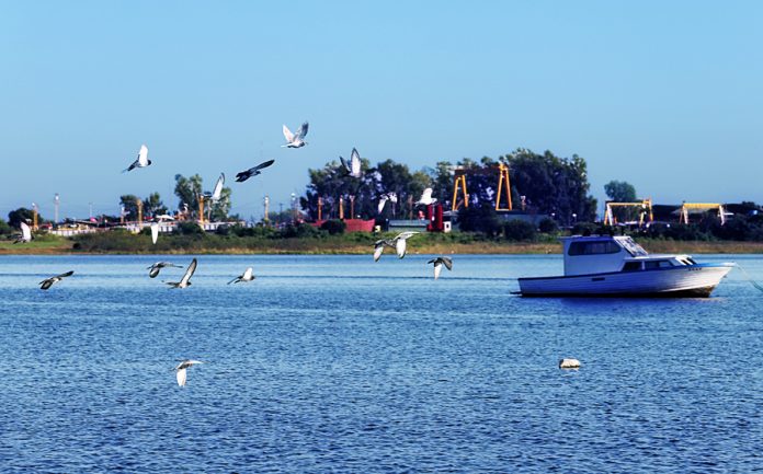 clima ip foto calido despejado aves As. bahía