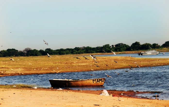 foto IP clima calido calor As. bahía aves