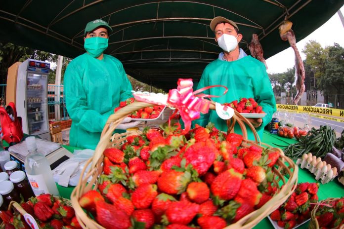 feria de frutilla- MAG
