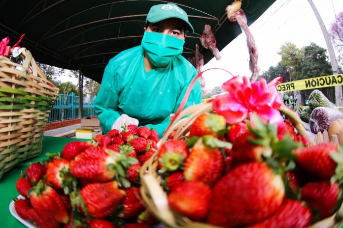 feria de frutilla- mujeres
