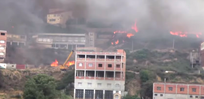 incendios forestales- argelia
