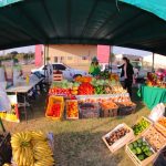 Feria – Apro – Costanera