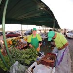 Feria – Costanera – Granjera – Apro