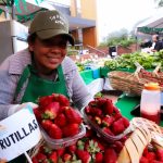Feria – MAG