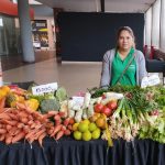 Feria – MAG – Multiplaza