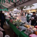 Feria – productores