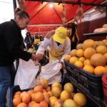 Fruta – Feria – Indert