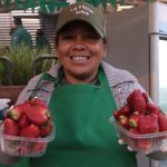 Vendedora – Frutillas
