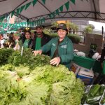 Feria – MAG – lechuga