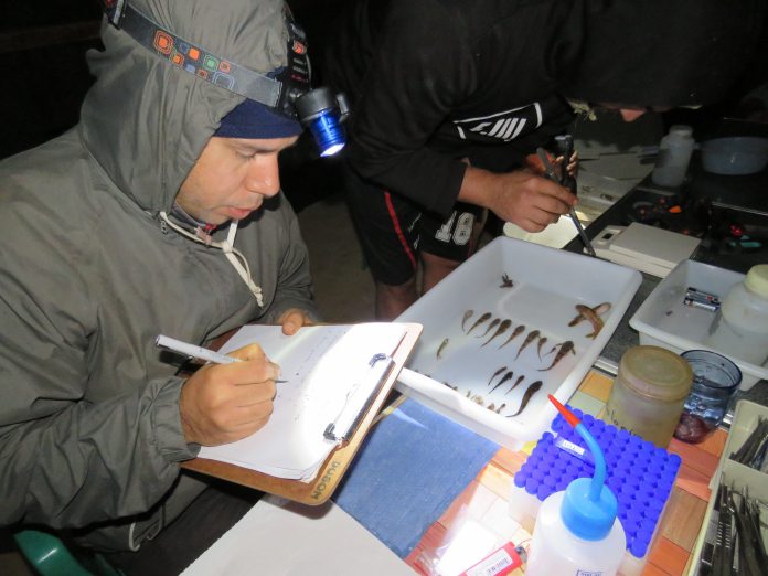 Investigadores