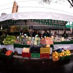 MAG – FERIA – CANAL 9