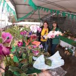 MAG – Feria – Flores – primavera