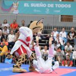tirika-karate