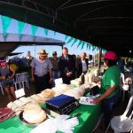 Carne – Feria – MAG