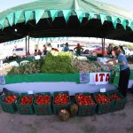 Feria – Costanera – MAG