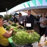 Lechuga – Feria-ministro-moises-santiago-bertoni