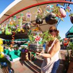 MAG – Costanera – plantas