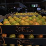 Frutas – caqui