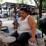 Obesidad – celular