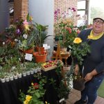 feria – MAG- flores