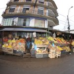 mercado – san lorenzo – verduras – frutas