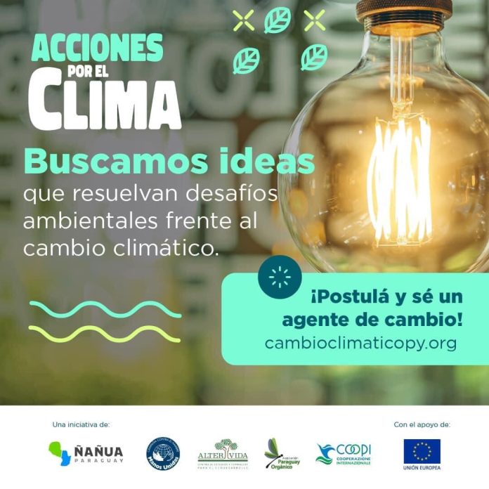 acciones-por-el-clima