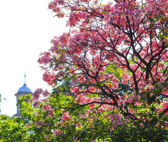 clima- jornada- meteorologia- 1