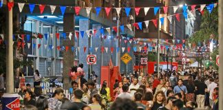 Gran éxito de la Feria Palmear