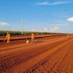 puerto-indio-ruta