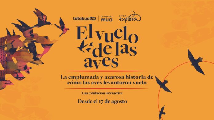 el vuelo de las aves.muci