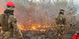 Combate a incendios forestales en el Chaco