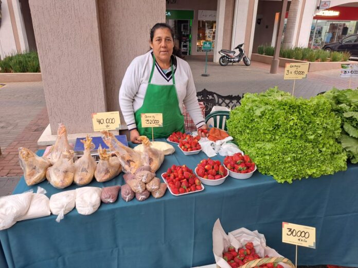 feria agricolafamiliar