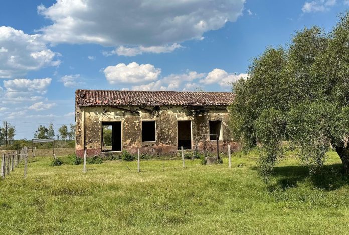 trenes-estaciones-1-scaled