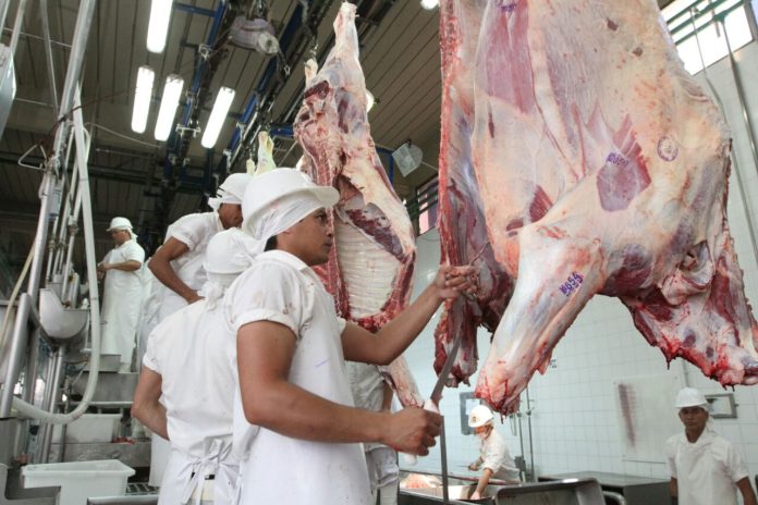 frigorifico_carne_habilitacion-2