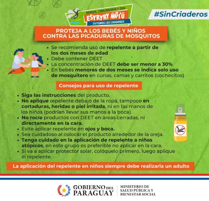 flyer sobre dengue