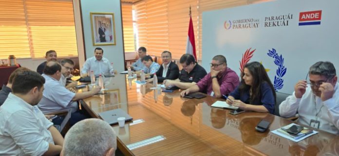 titular de ande preside reunion