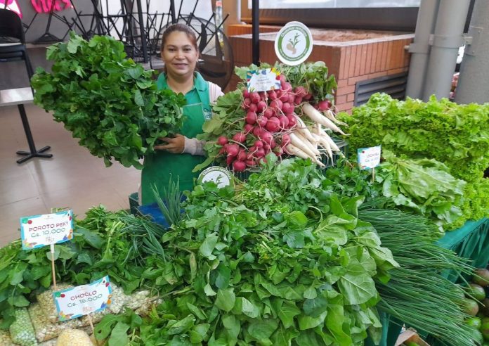 feria agricola archivo